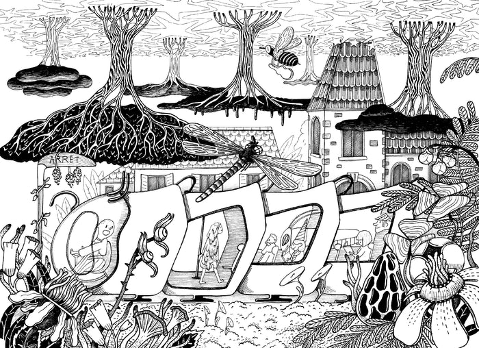 La maison sous la maison