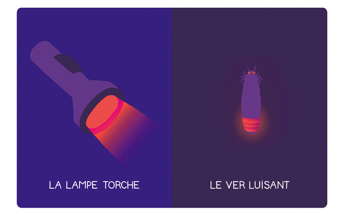 Mon petit imagier - Brillant