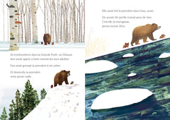 Courage, petit ours !