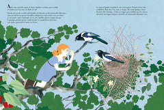 La revanche des oiseaux