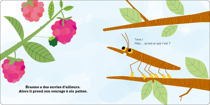 Les aventures d'Érasme le phasme