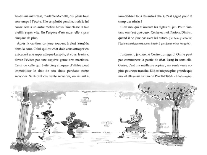 Gargouille contre Ninjas