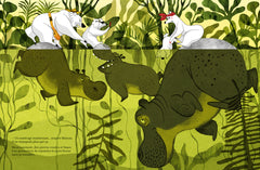 Des ours dans la brousse