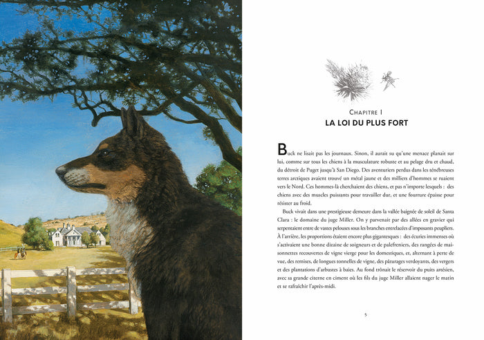 L'appel de la forêt