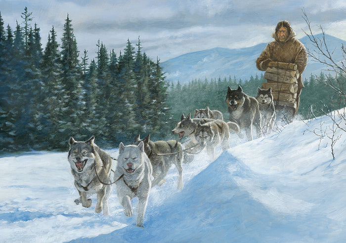 L'appel de la forêt