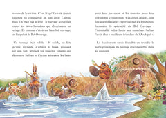 Safran et le secret de la grotte