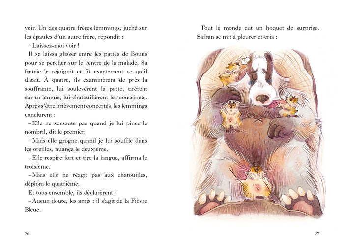 Safran et le secret de la grotte