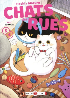 Hachi & Maruru - Chats des rues - écrin - vol 03 et 04