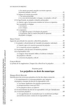 Les variations du préjudice