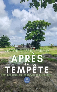 Après la tempête