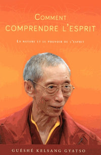 Comment Comprendre L'Esprit