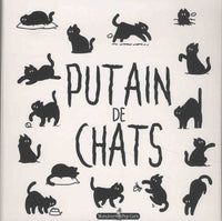 Putain de chats - Le grand coffret