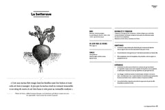 LES LÉGUMES D'HIVER
