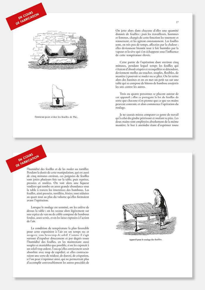 A la recherche des meilleurs thés de Chine