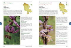 Atlas de la flore du Territoire de Belfort