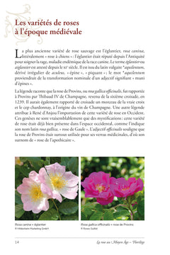 La rose au Moyen Age