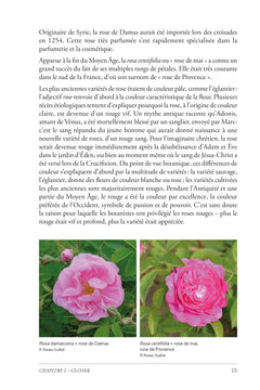 La rose au Moyen Age