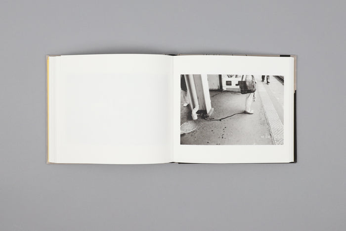 Shi Nikki (Private Diary)