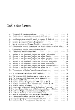 Apprentissage d'ensemble de Regles par Analyse de Concepts Formels