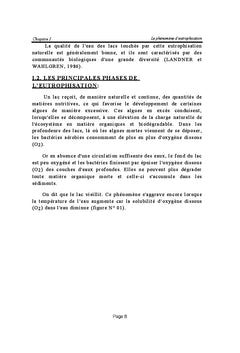 Le phénomène d'eutrophisation