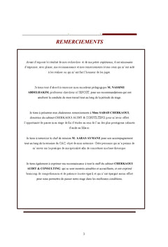 Contribution A la conduite d'une mission de commissariat aux comptes
