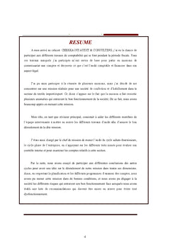 Contribution A la conduite d'une mission de commissariat aux comptes