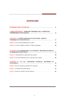Contribution A la conduite d'une mission de commissariat aux comptes