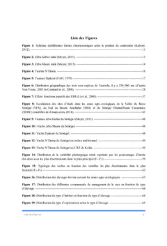 Races bovines locales (Artiodactyla : Bovidae) du Sénégal