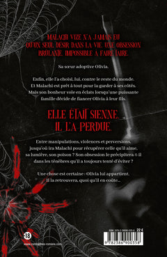 La toile du Silence - Tome 2 Little Liar