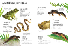 Mon petit guide de la nature - Dès 6 ans
