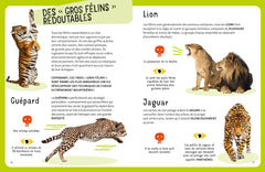 Le Top 10 des animaux les plus dangereux