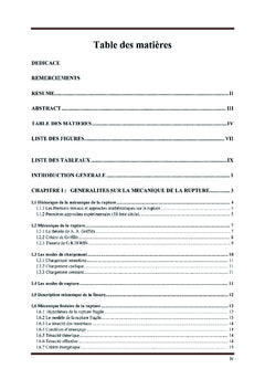 Modelisation thermomecanique de la rupture des materiaux composites