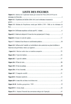 Modelisation thermomecanique de la rupture des materiaux composites