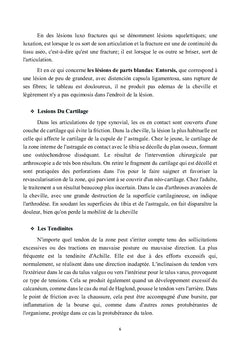 Lesion de la cheville