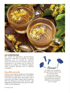 Un jardin santé - Aromates et plantes à tisanes