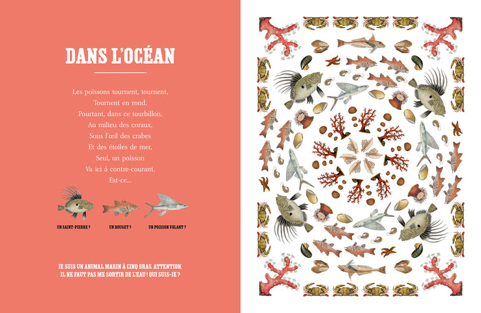 Tout un monde d'animaux