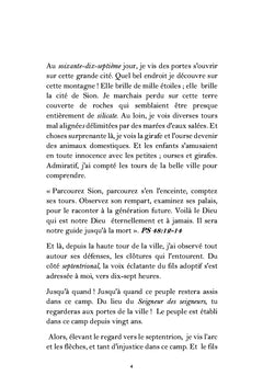 La tourmaline christique