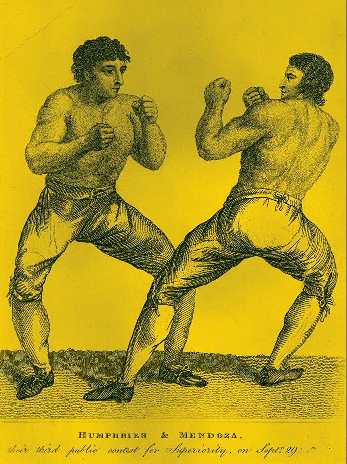 Le grand livre de la boxe