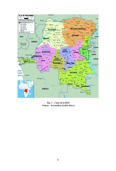 Kinshasa: évolution et devenir d'une capitale africaine
