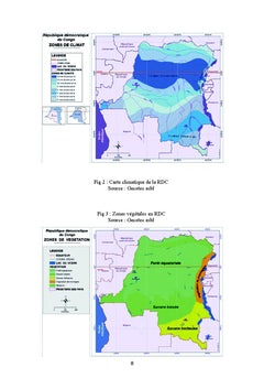 Kinshasa: évolution et devenir d'une capitale africaine