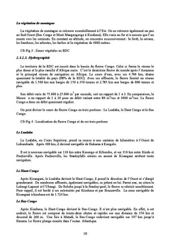 Kinshasa: évolution et devenir d'une capitale africaine