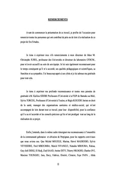 La Cour Penale Internationale et les etats africains