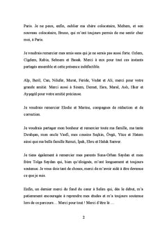 La communauté interprétative