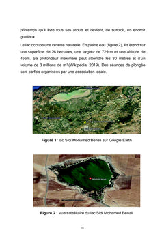LES MICROALGUES DU LAC DE SIDI MOHAMED BENALI