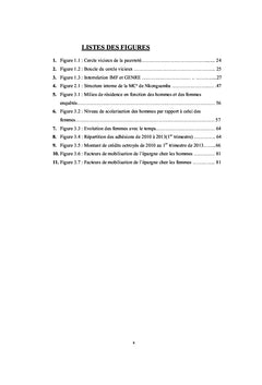 IMF et insertion socioeconomique du genre en milieu rural