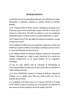 Tuberculose au Cameroun: Profil de resistance et apport des plantes