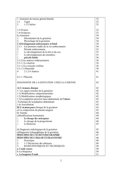 Echographie embryonnaire et foetale chez la chienne