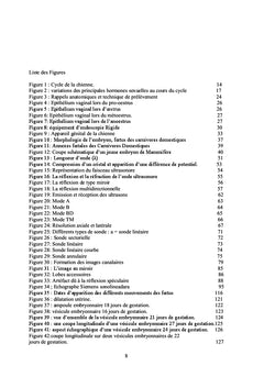 Echographie embryonnaire et foetale chez la chienne