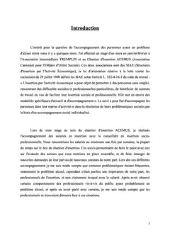 L'accompagnement et le problème d'alcool en chantier d'insertion