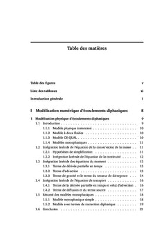 Méthodes sans maillage pour la résolution d'écoulements peu profonds